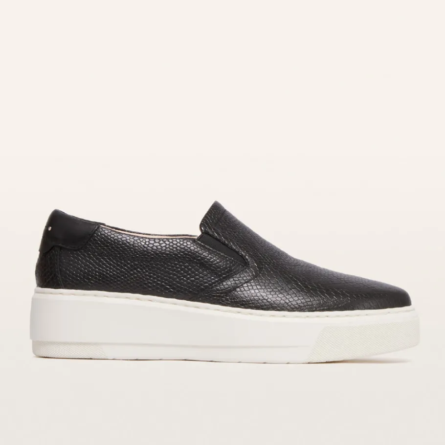 FRANKIE4 Black Sneakers-Maxwell