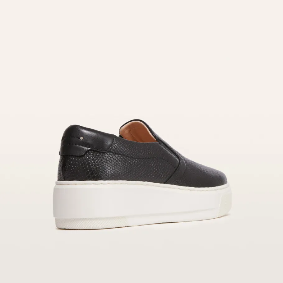 FRANKIE4 Black Sneakers-Maxwell