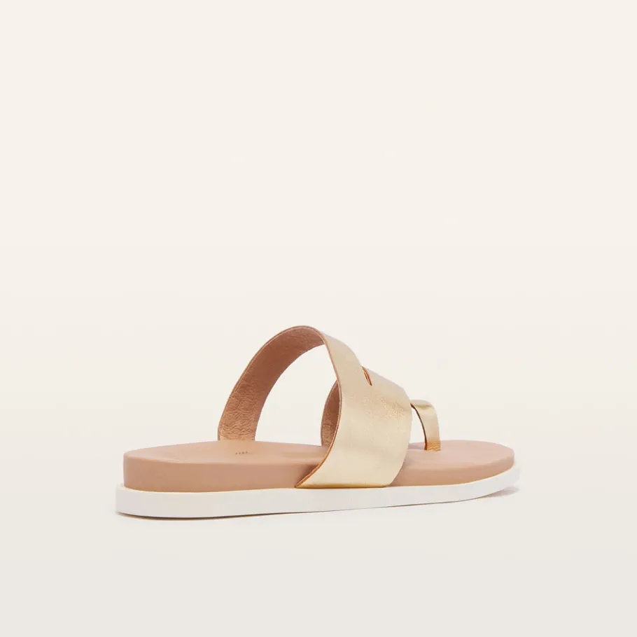 FRANKIE4 Slides-Riviera