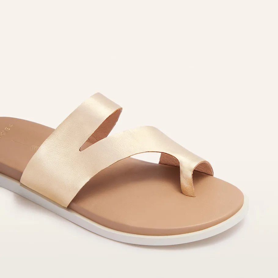 FRANKIE4 Slides-Riviera