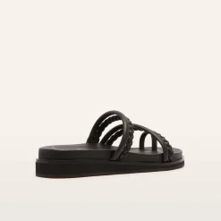 FRANKIE4 Slides-Willow