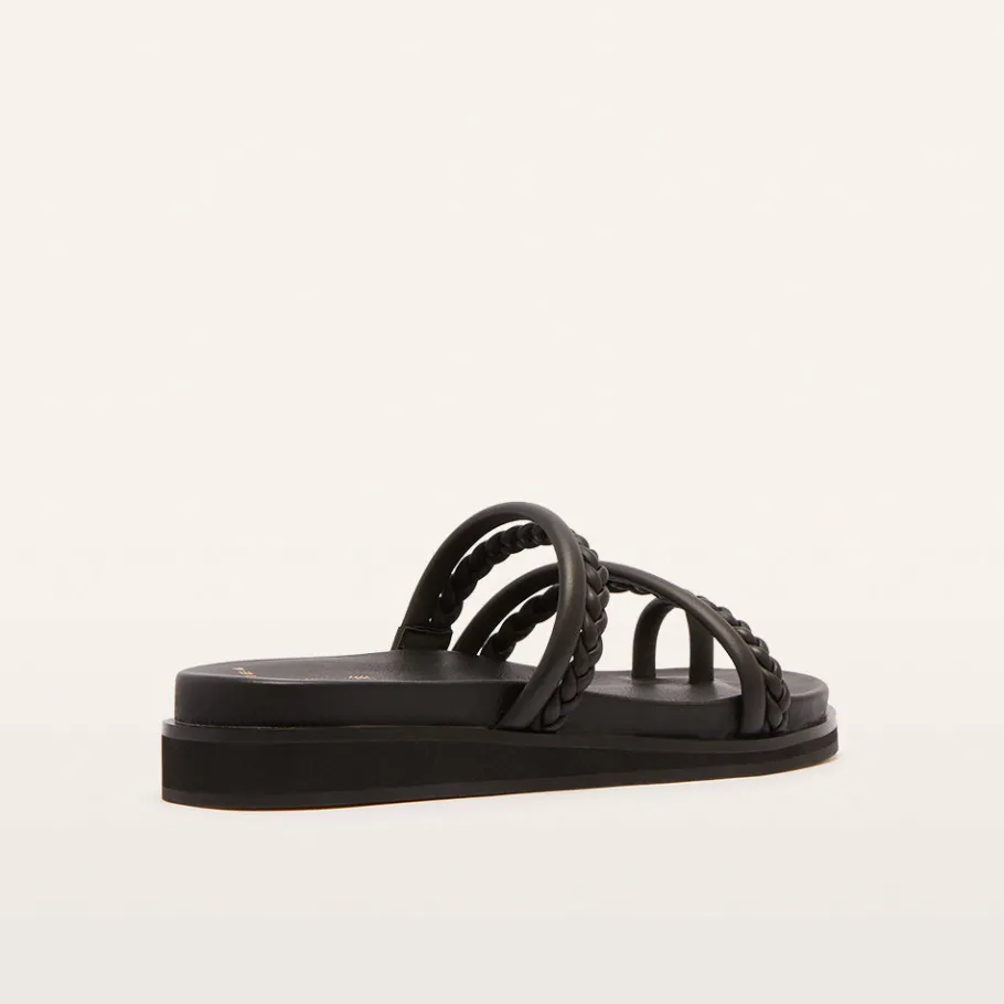 FRANKIE4 Slides-Willow